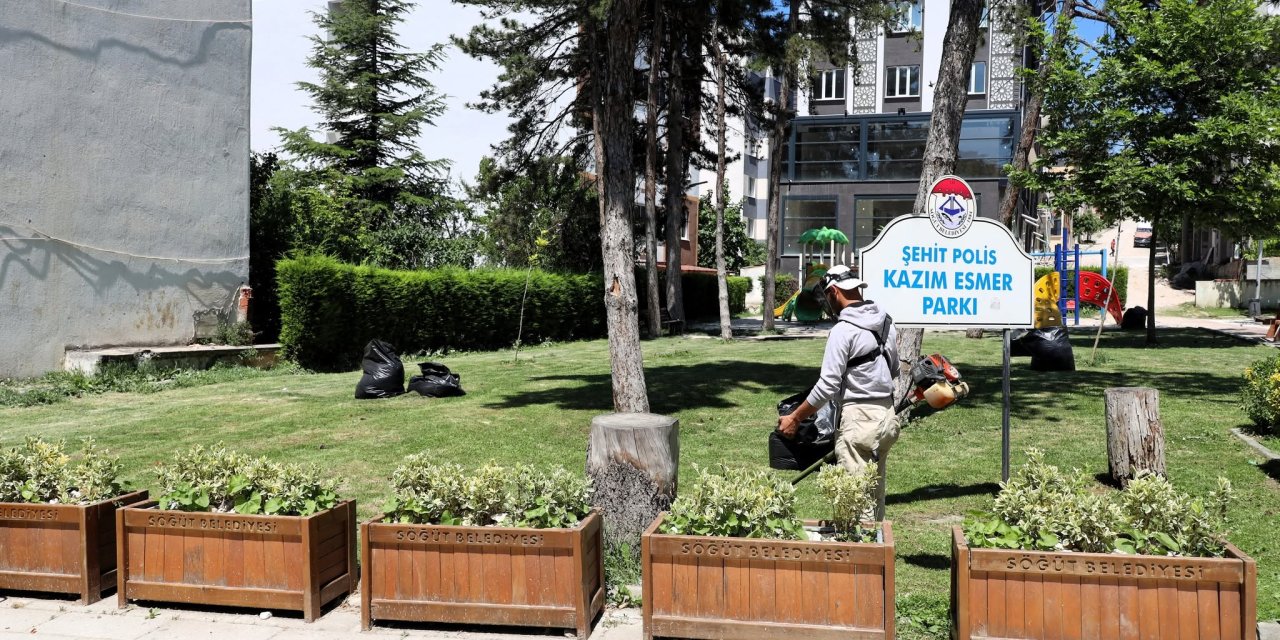 Söğüt'te Çevre Düzenleme Çalışmaları