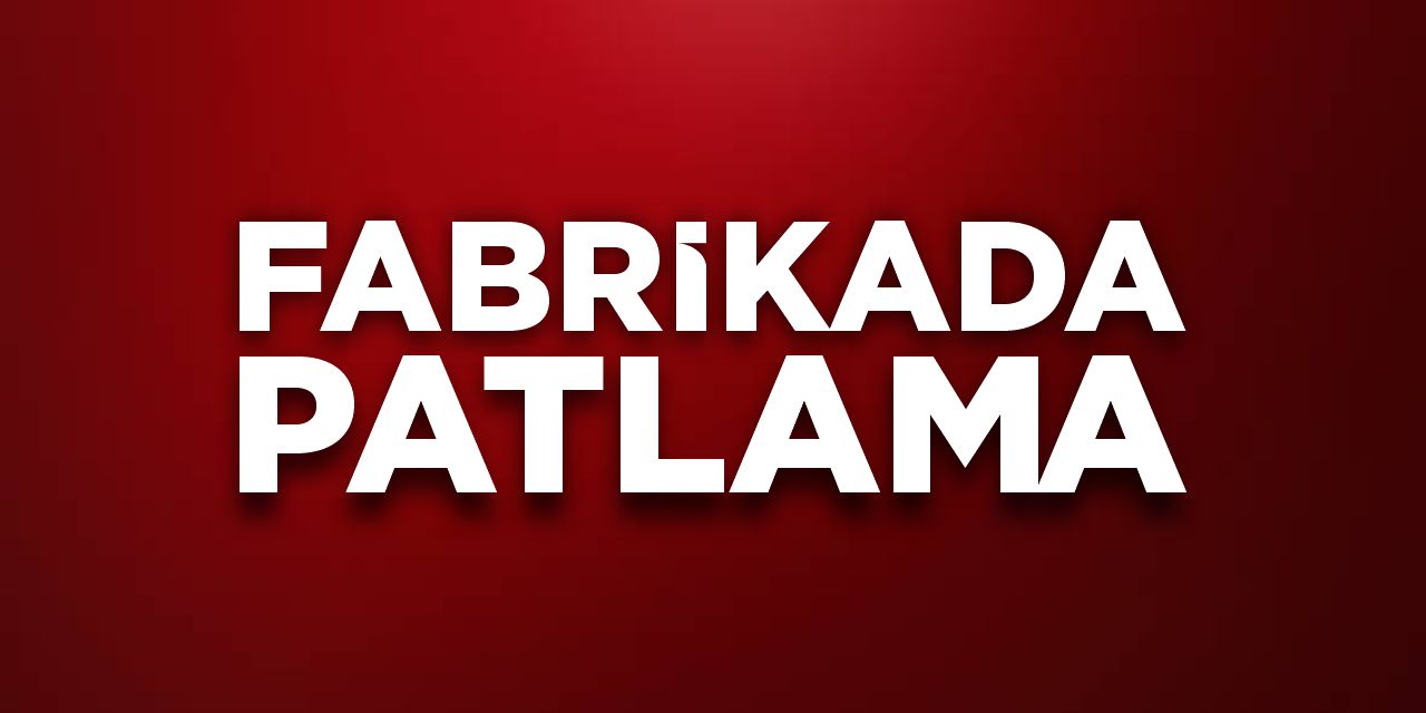 Osmaneli'nde fabrikada patlama