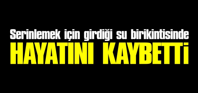 SERİNLEMEK İÇİN GİRDİĞİ SU BİRİKİNTİSİ HAYATINA MAL OLDU