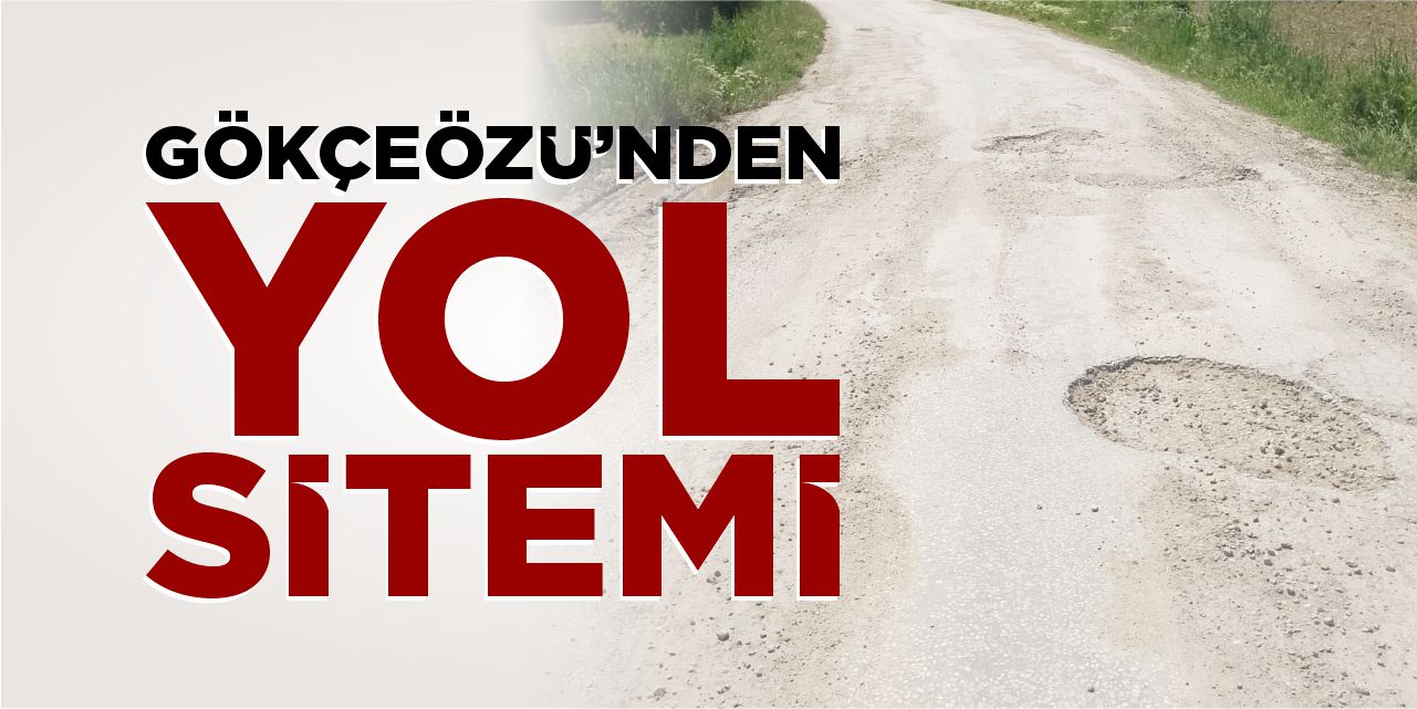 Gökçeözü’nden yol sitemi!