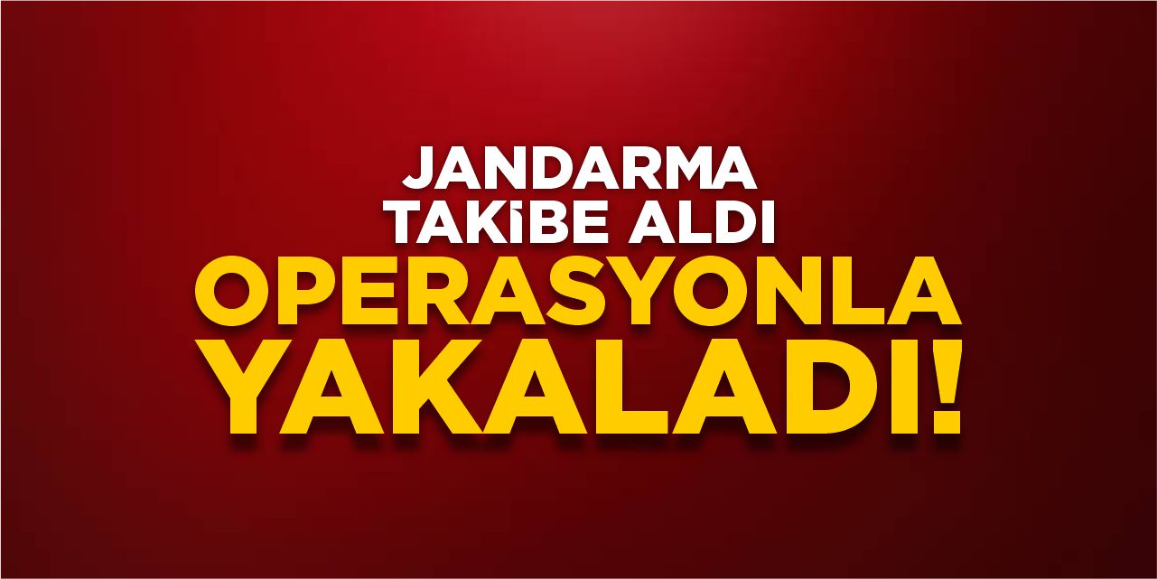 Osmaneli'nde zehir operasyonu!