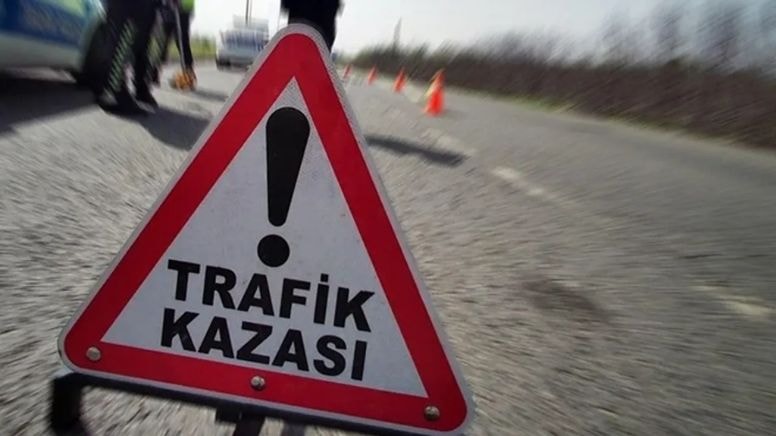 Kontrolden çıkan motosiklet şarampole devrildi