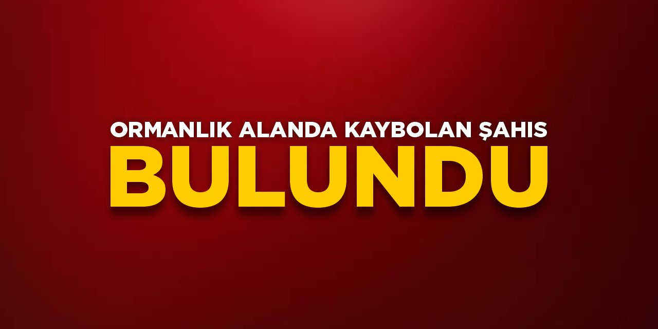 Bilecik'te ormanlık alanda kaybolan şahıs bulundu