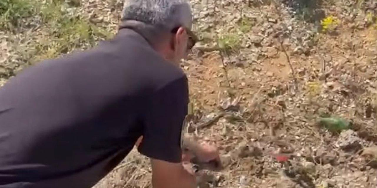 Belediyeden Yılanlara Karşı Uyarı!
