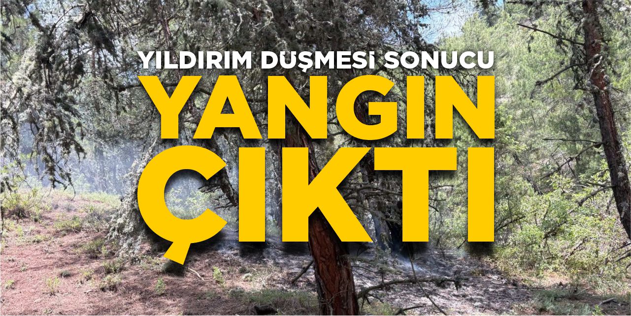Yıldırım düşmesi sonucu yangın çıktı