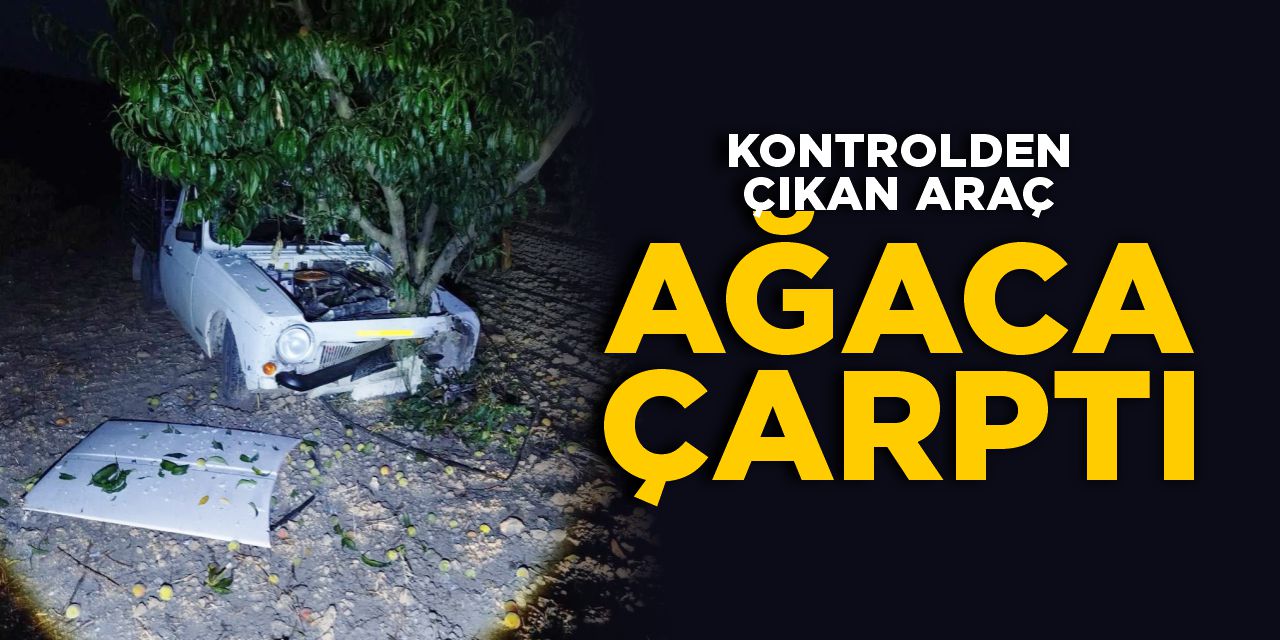 Bilecik’te kontrolden çıkan araç ağaca çarptı