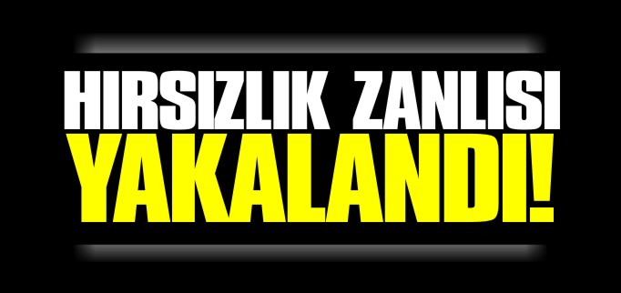 HIRSIZLIK ZANLISI YAKALANDI