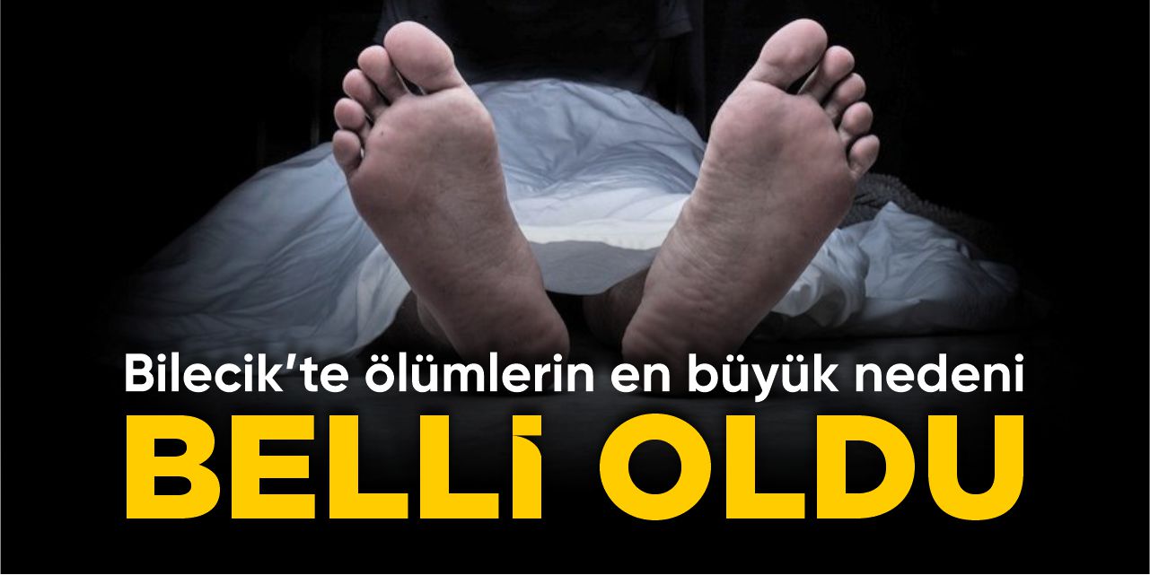 Bilecik’te ölümlerin en büyük nedeni belli oldu