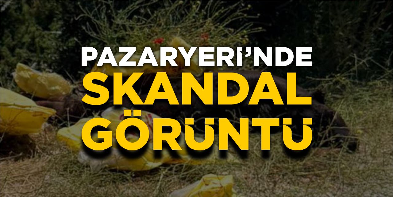 Pazaryeri'nde skandal görüntü!