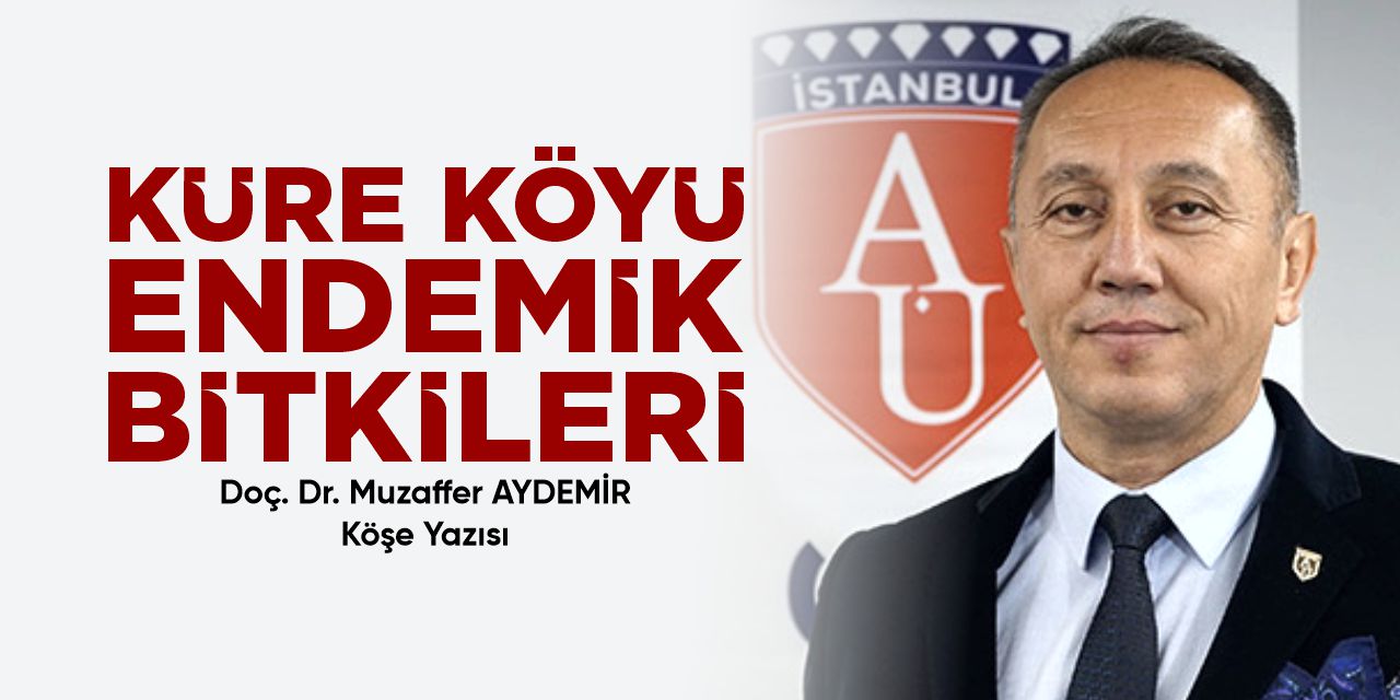Küre Köyü Endemik Bitkileri