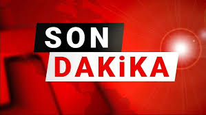 Bilecik'te orman yangını