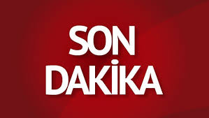 Bilecik'te orman yangını