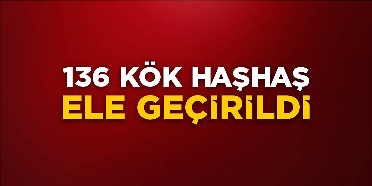 136 kök haşhaş ele geçirildi