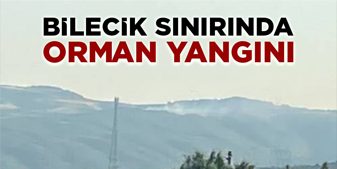 Bilecik sınırında orman yangını
