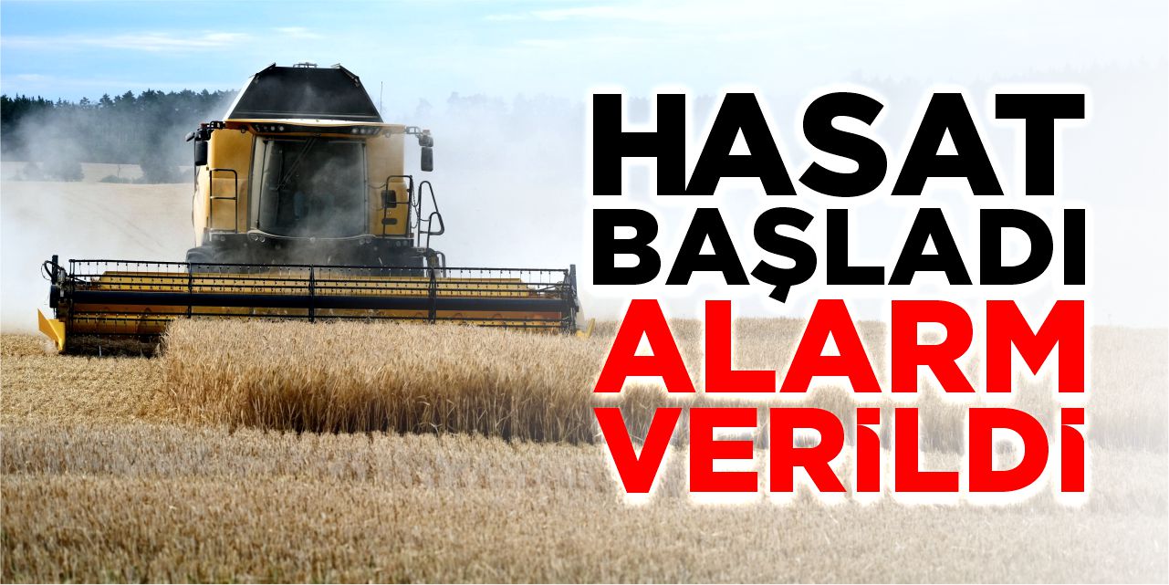 Hasat başladı alarm verildi!