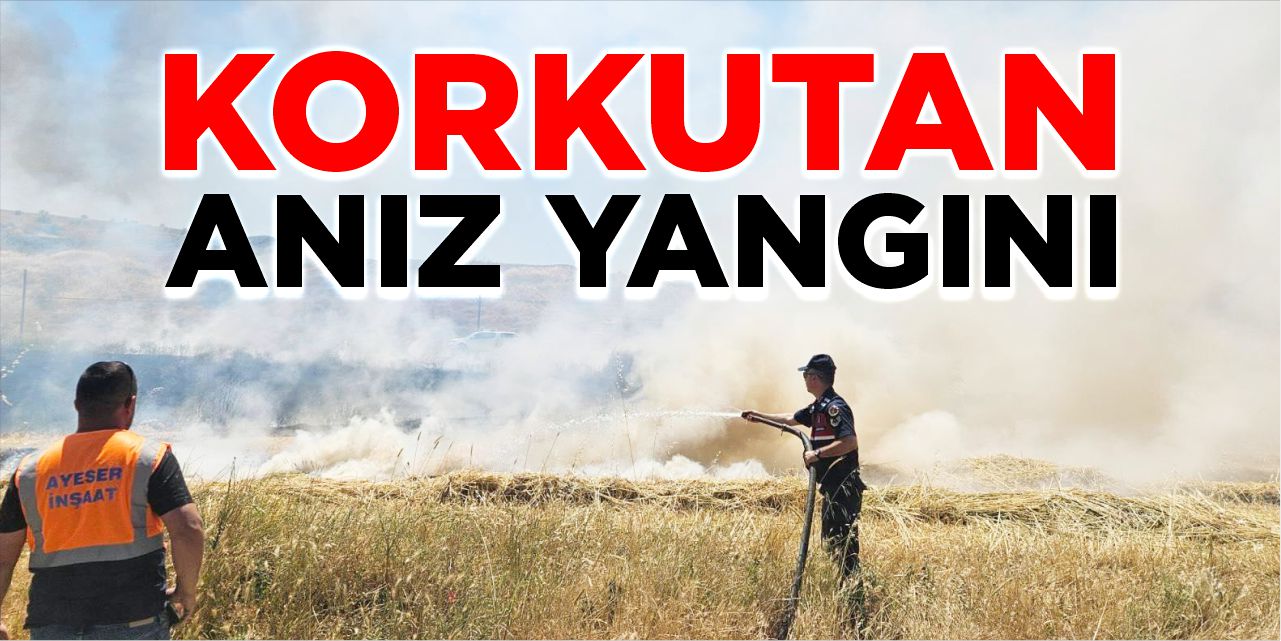 Bilecik'te korkutan anız yangını!