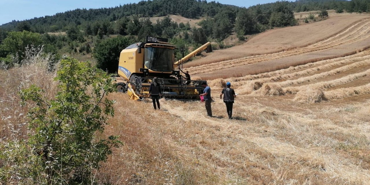 Biçerdöverlere sahada yakın takip