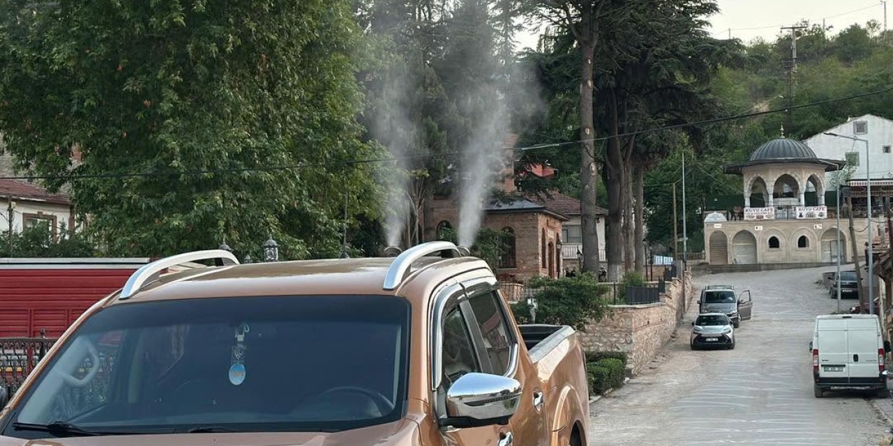 Söğüt'te İlaçlama Çalışmaları