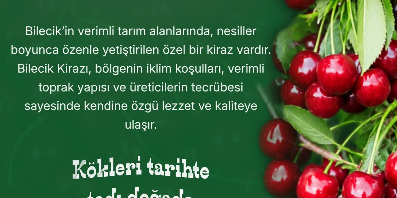 Bilecik Kirazı