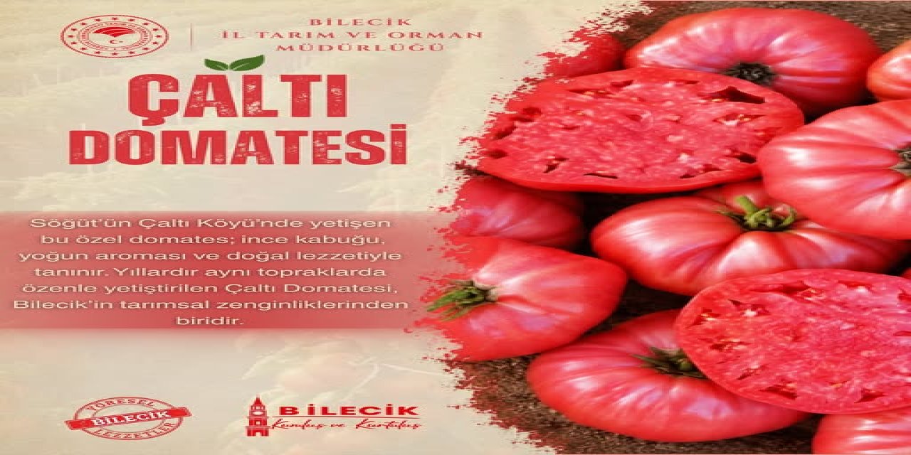 Çaltı Domatesi