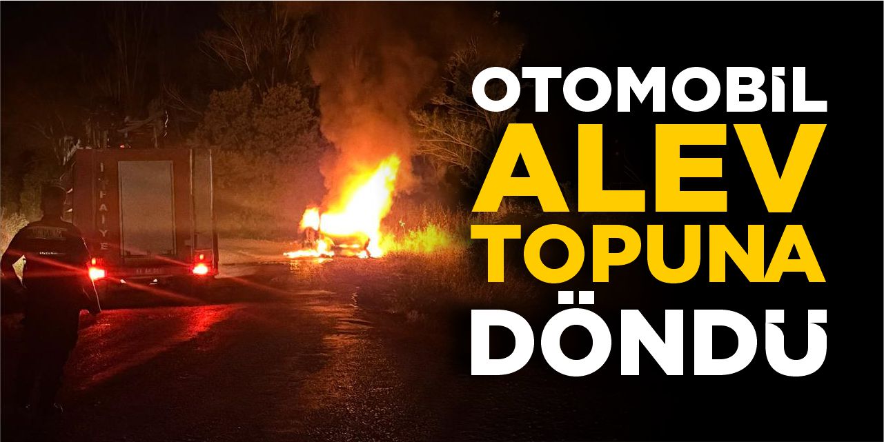 Bilecik'te otomobil alev topuna döndü