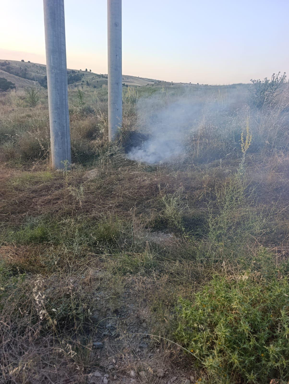 Elektrik akımına kapılan kuş yangına sebep oldu