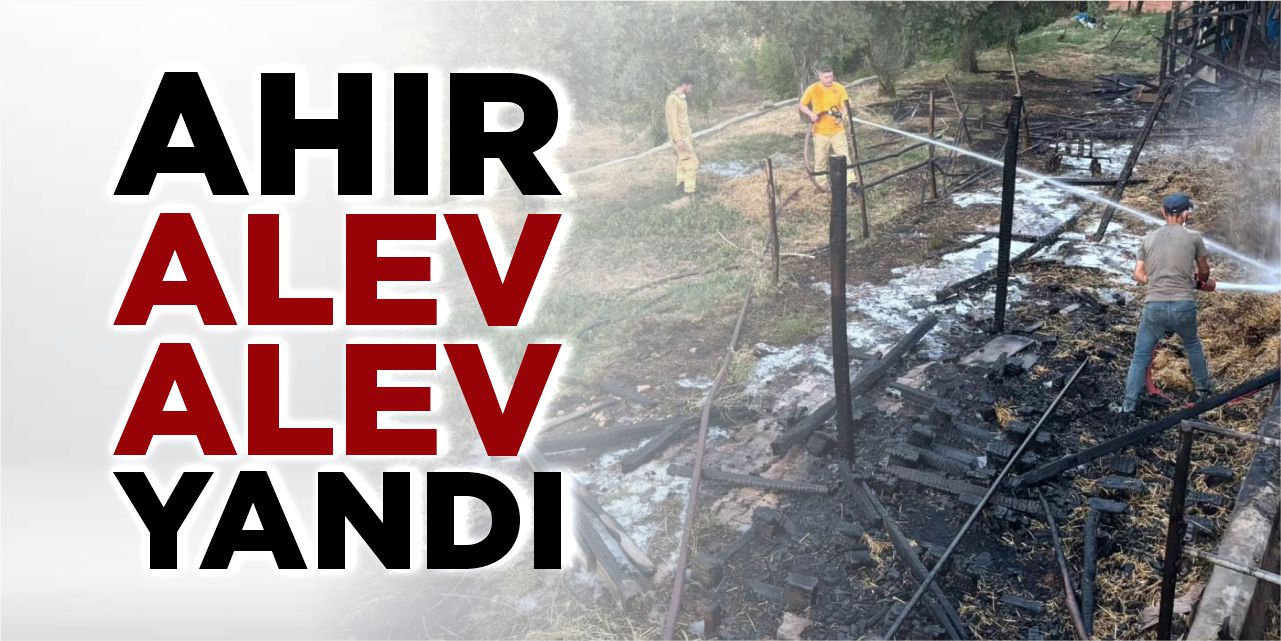 Ahır Alev Alev Yandı!