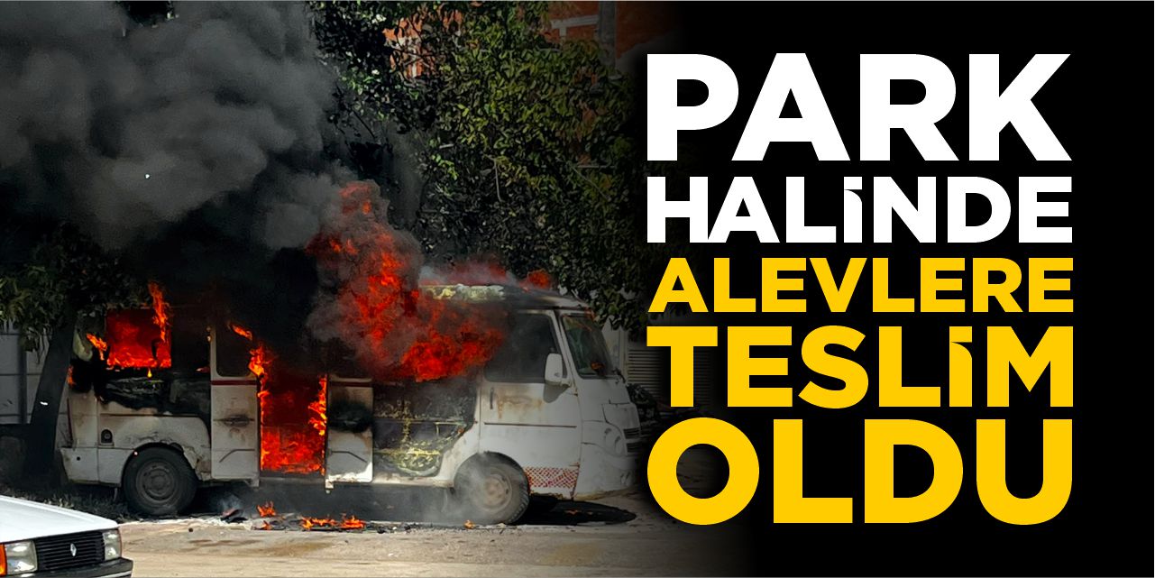 Bilecik'te park halindeki minibüs alevlere teslim oldu