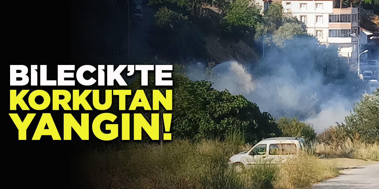 Bilecik'te korkutan yangın!