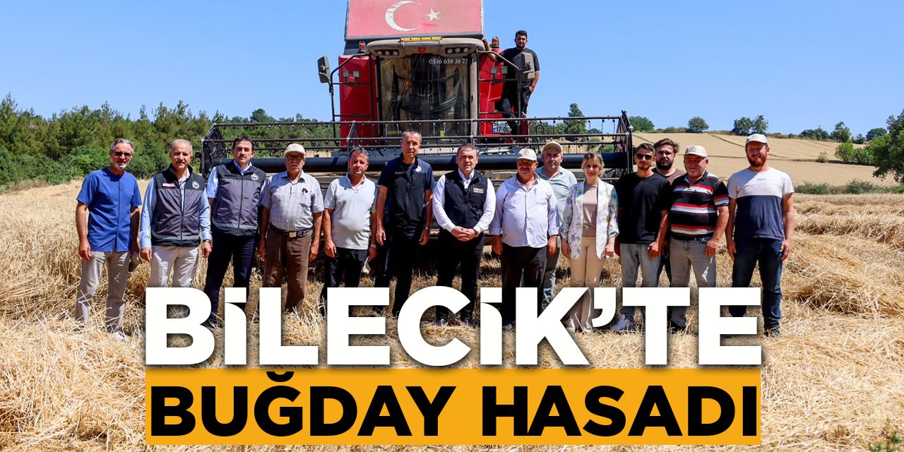 Bilecik'te Buğday Hasadı