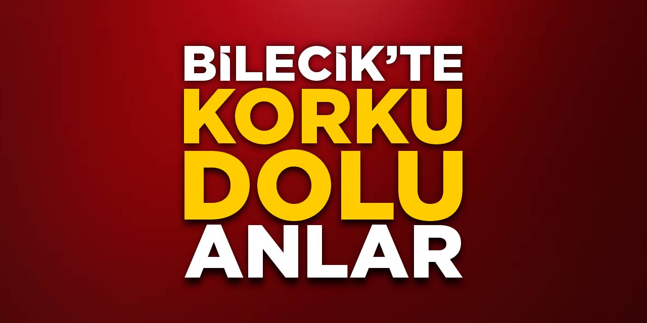 Bilecik'te korku dolu anlar