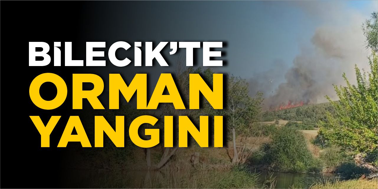 Bilecik'te orman yangını!