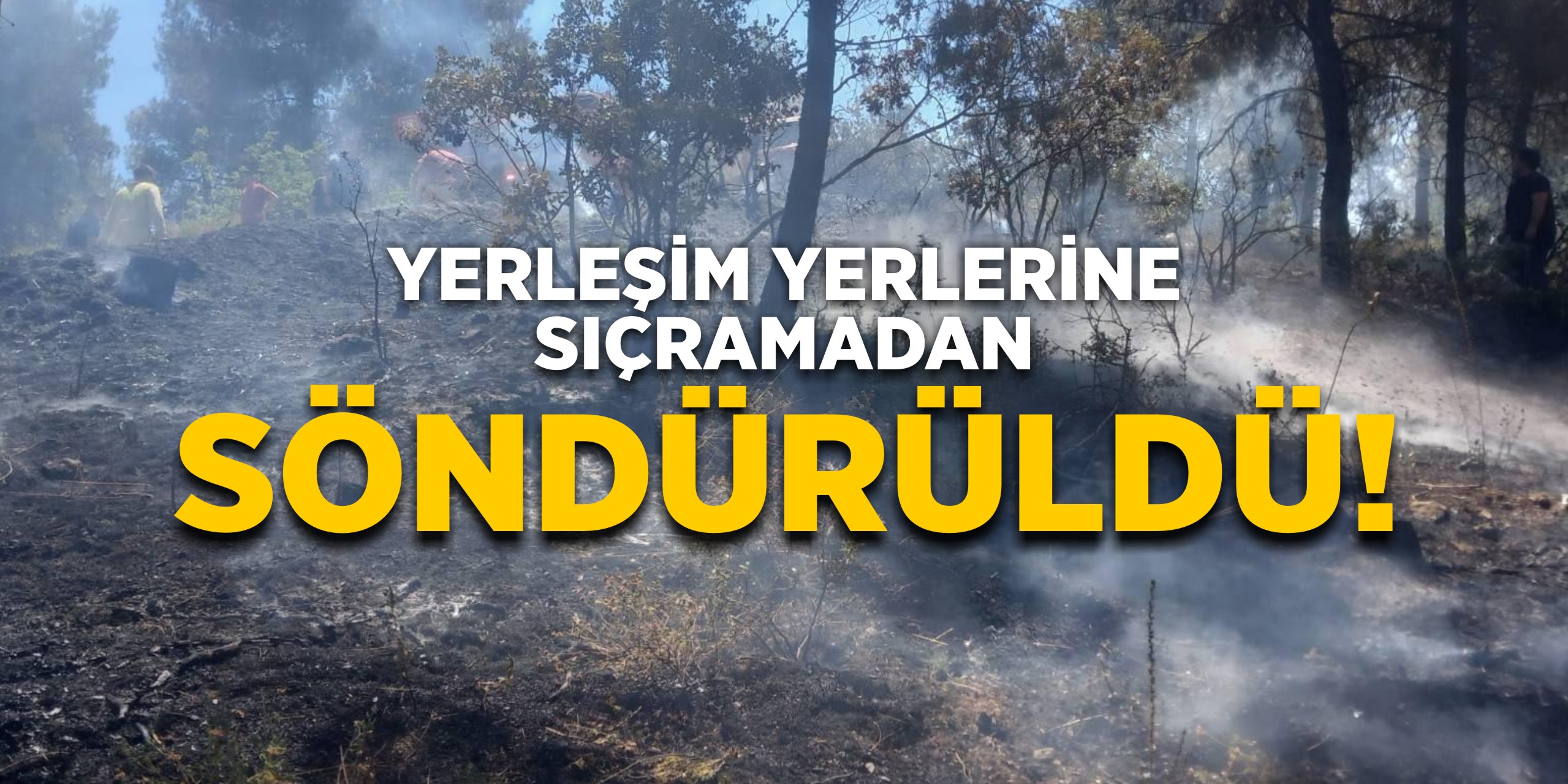 Yerleşim alanlarına sıçramadan söndürüldü!