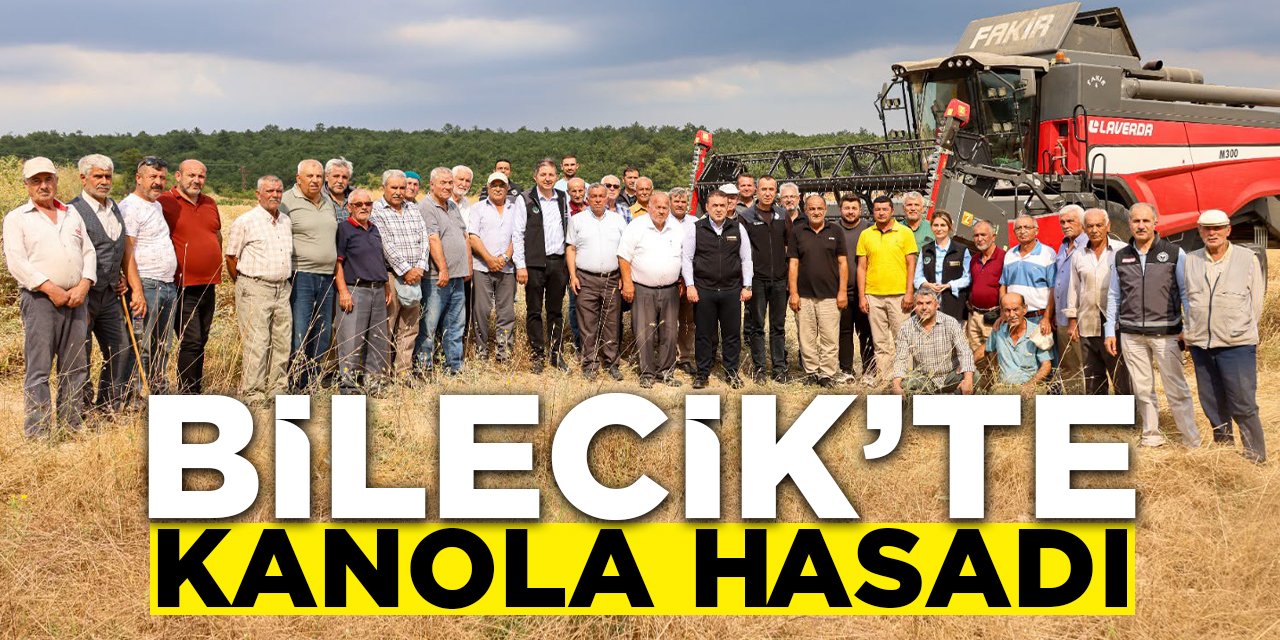 Bilecik'te Kanola Hasadı