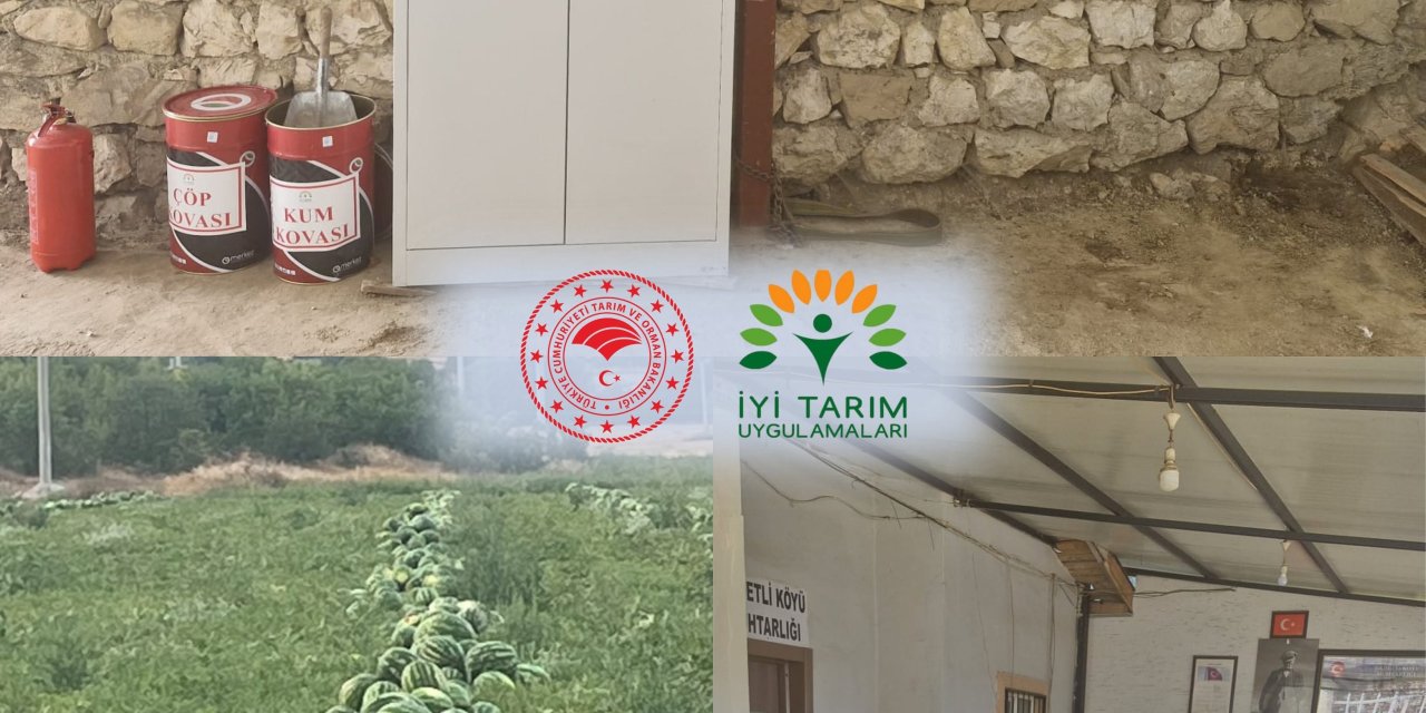 Osmaneli Karpuzu Güven Verdi