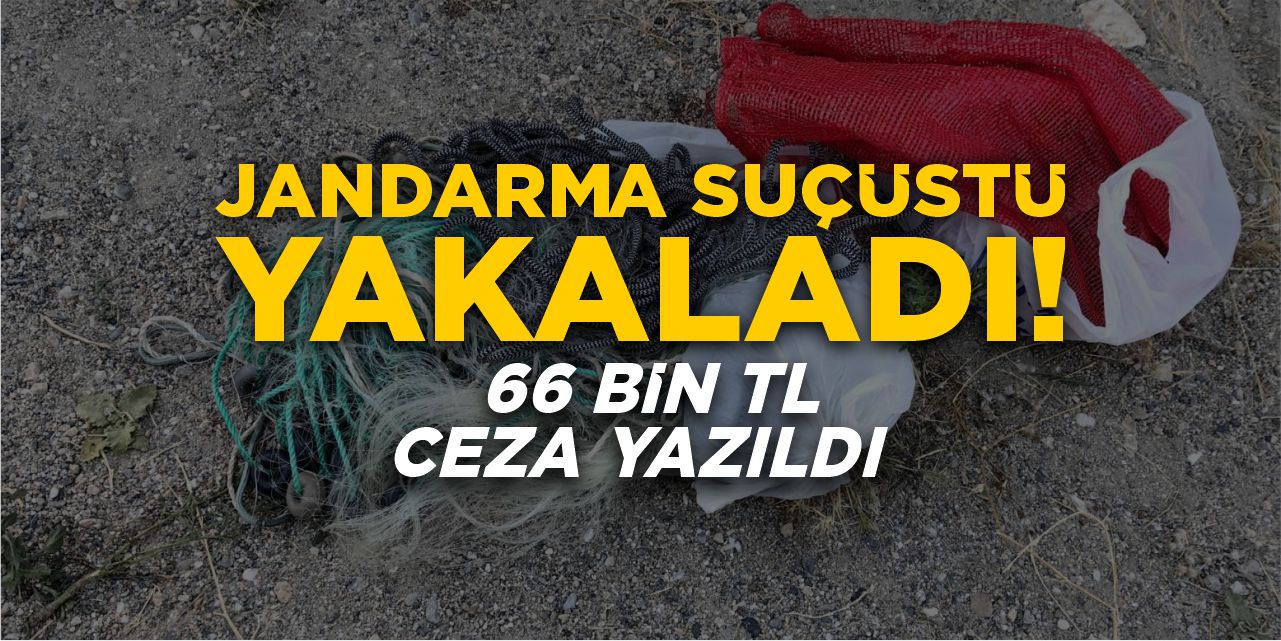 Jandarma suçüstü yakaladı: 66 bin TL ceza