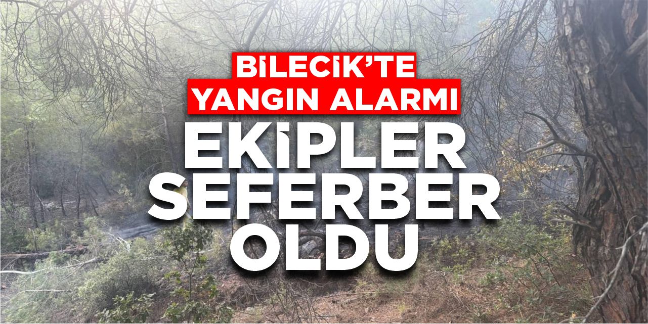 Bilecik'te Yangın Alarmı! Ekipler Seferber Oldu