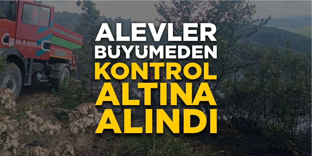 Alevler büyümeden kontrol altına alındı