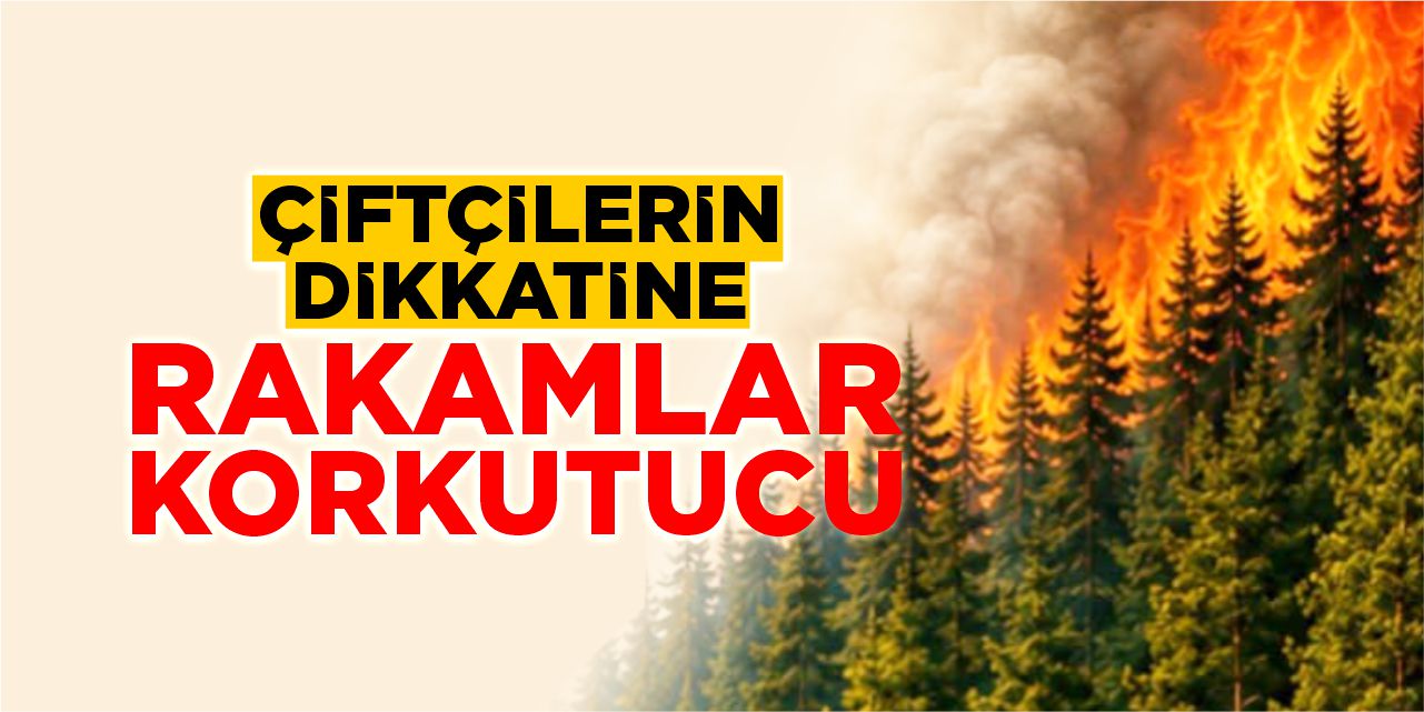 Çiftçilerin dikkatine: Rakamlar korkutucu!