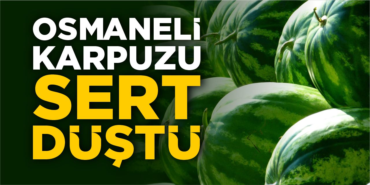 Osmaneli karpuzu sert düştü!
