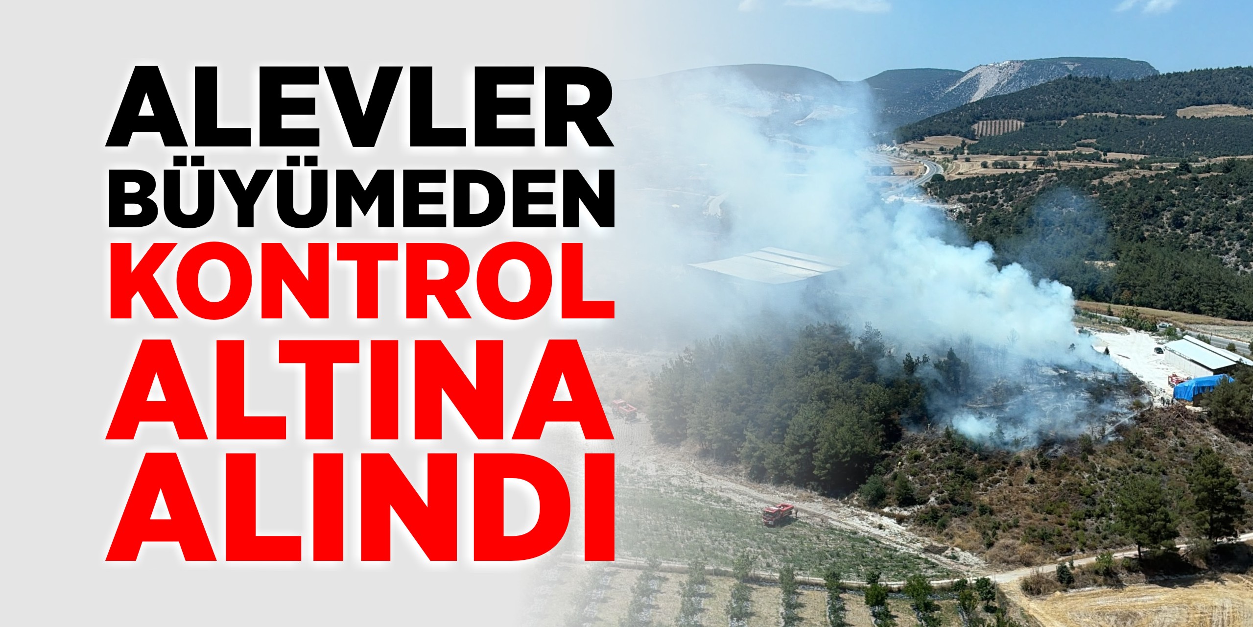 Alevler büyümeden kontrol altına alındı