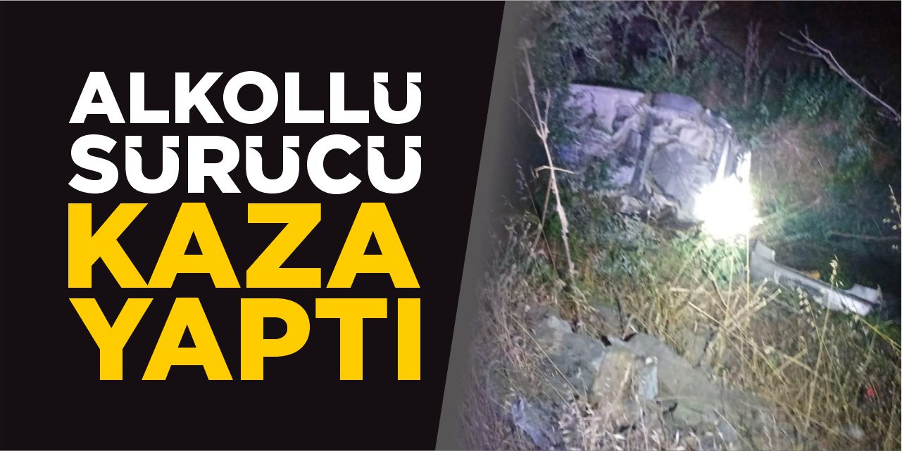 Alkollü sürücü kaza yaptı