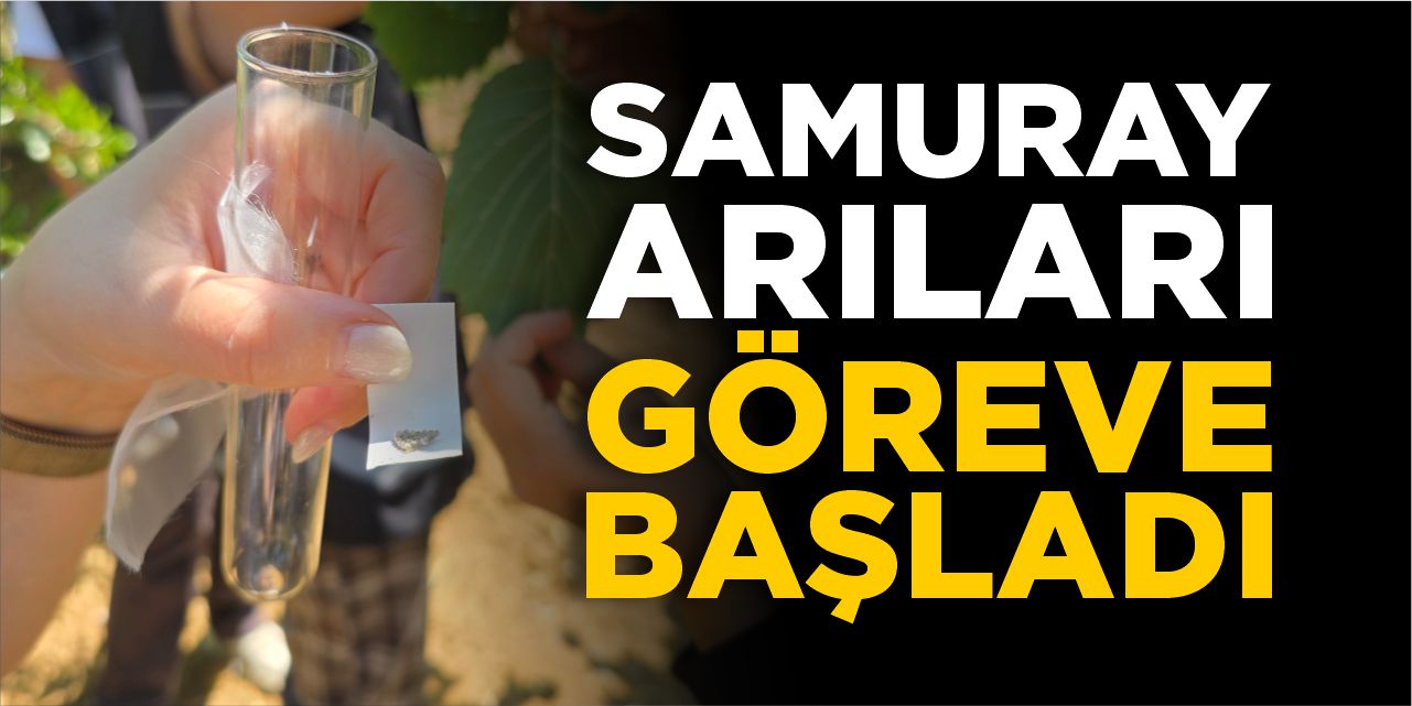 Samuray Arıları Göreve Başladı