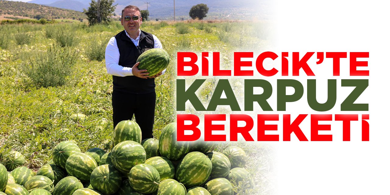 Bilecik'te Karpuz Bereketi