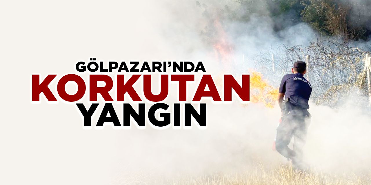 Gölpazarı'nda korkutan yangın