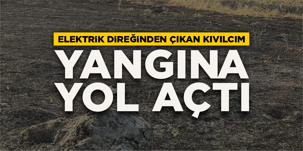 Elektrik direğinden çıkan kıvılcım yangına neden oldu