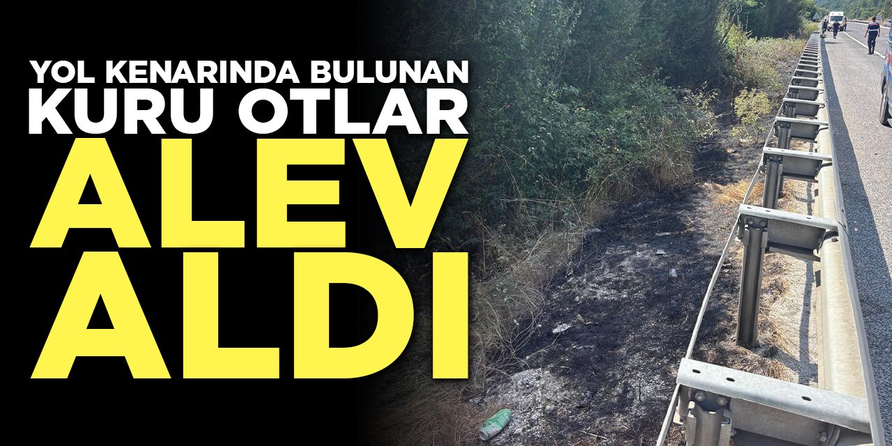 Yol kenarında bulunan kuru otlar alev aldı