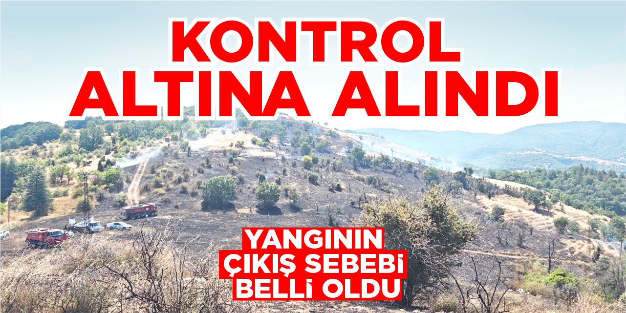 Bilecik’te orman yangını kontrol altına alındı