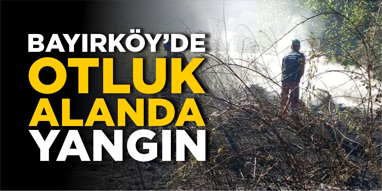 Bayırköy’de otluk alanda yangın