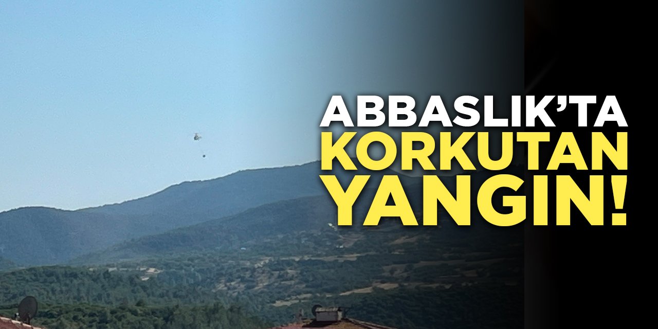 Abbaslık'ta korkutan yangın!